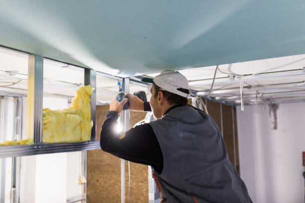 Best Insulation Maintenance and Repair in Waskom, TX