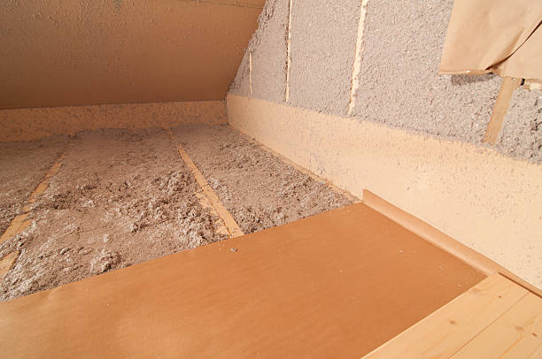 Best Eco-Friendly Insulation in Waskom, TX